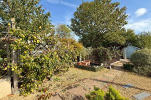 Garden- click for photo gallery